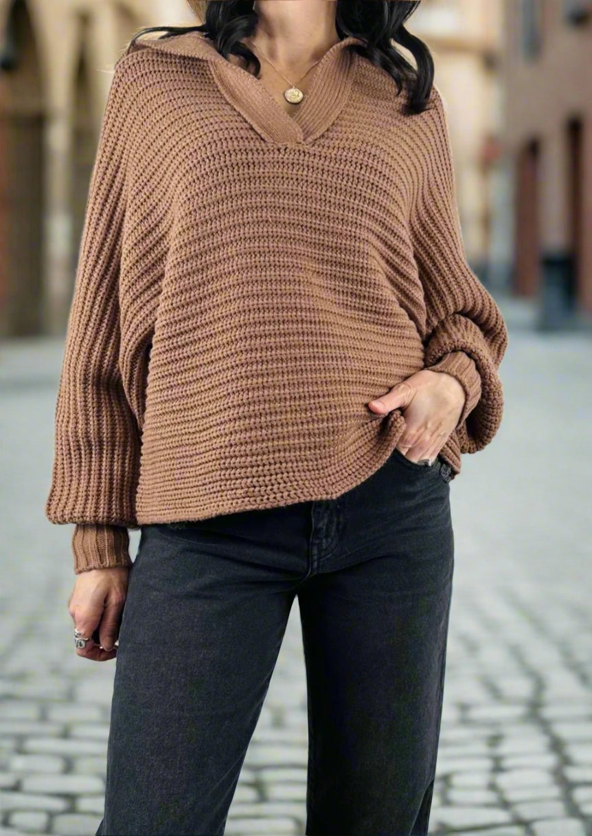 Collared Brown Sweater